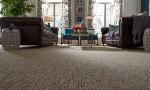 Are Wall-to-Wall Carpets Still Relevant in Modern Home Decor