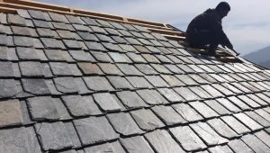 Roofing Maintenance